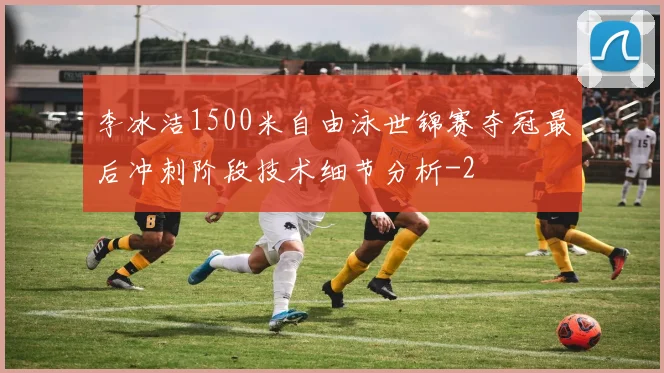李冰洁1500米自由泳世锦赛夺冠最后冲刺阶段技术细节分析