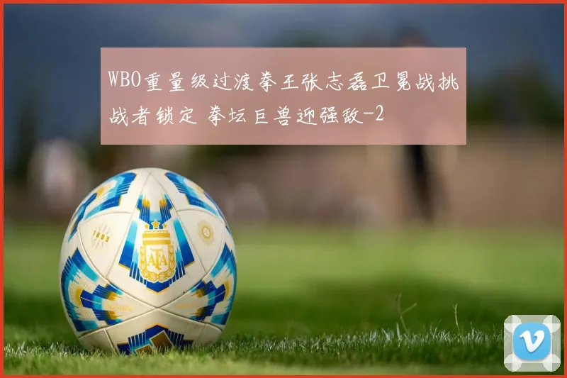 WBO重量级过渡拳王张志磊卫冕战挑战者锁定 拳坛巨兽迎强敌